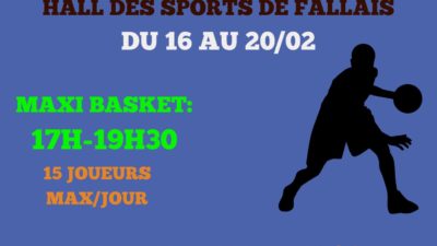 Stage maxi basket page 1