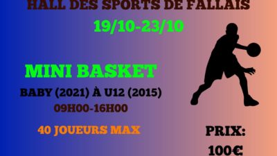 Toutes les infos concernant notre stage mini basket d'automne